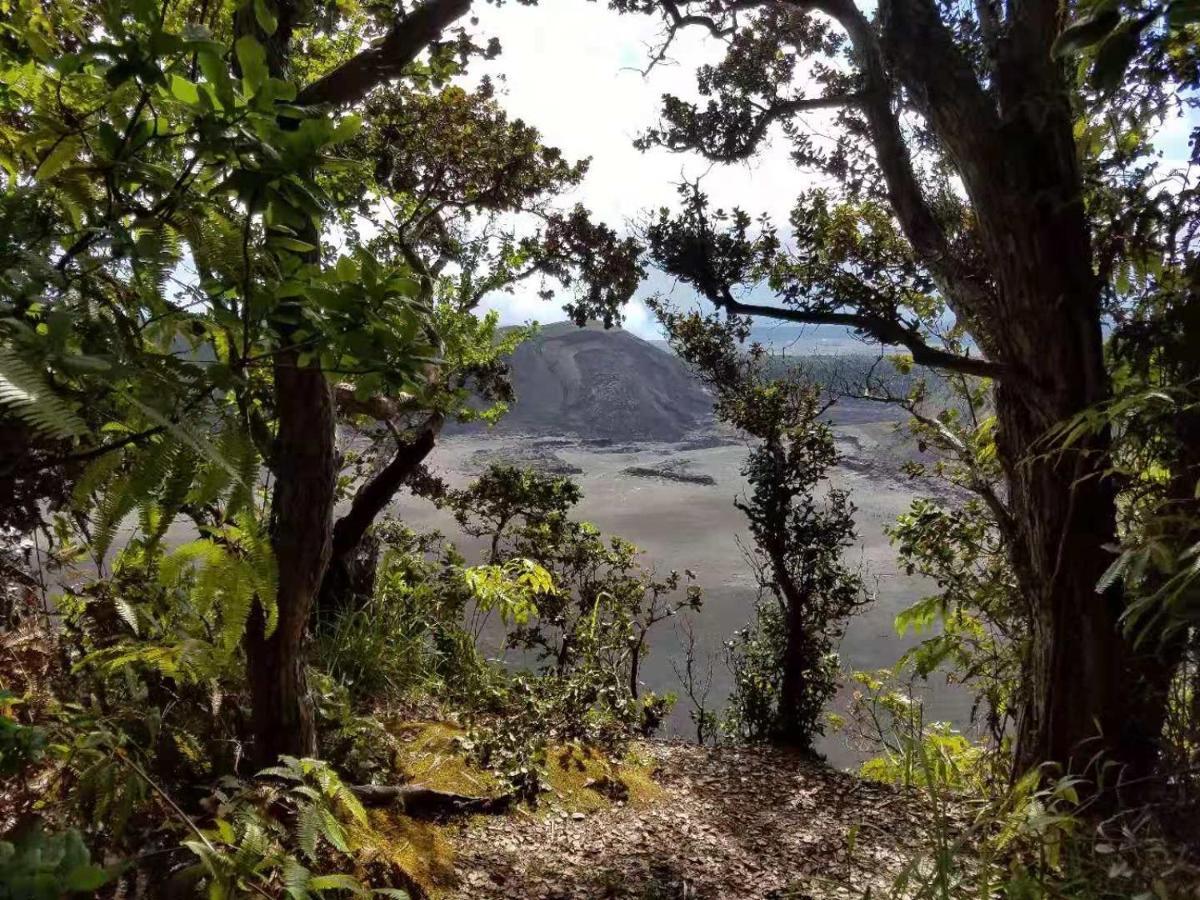 Volcano Forest Inn Eksteriør billede